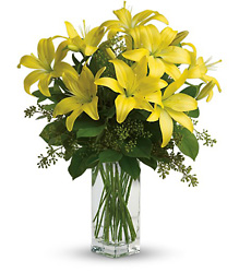 Teleflora's Lily Sunshine from Olney's Flowers of Rome in Rome, NY